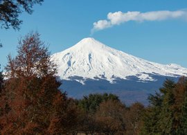 Pucon Retreats & Trips
