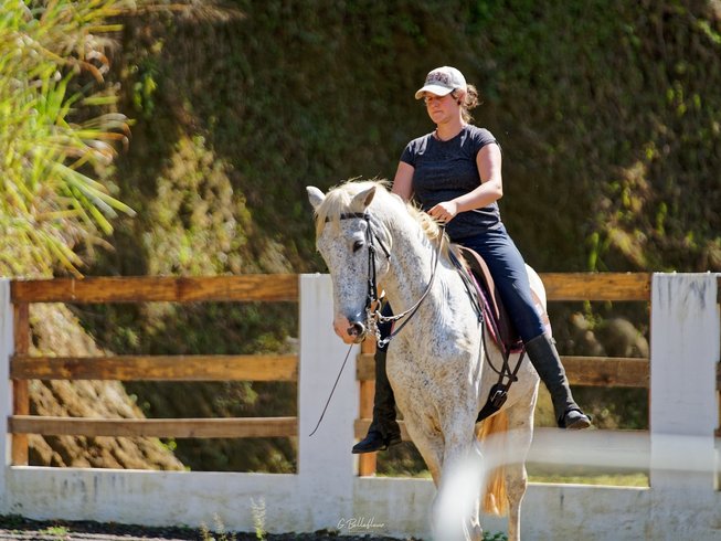 Top 10 Beginner Horse Riding Holidays Worldwide