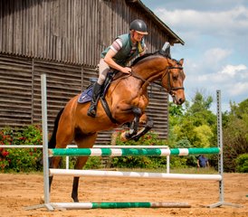 7 jours de saut d’obstacles et vacances équestres à Galiny, Gmina Bartoszyce, Pologne - Photo 3
