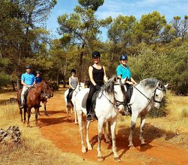 24 Day Extraordinary Horse Riding Holiday in Mollina, Malaga - Photo 1