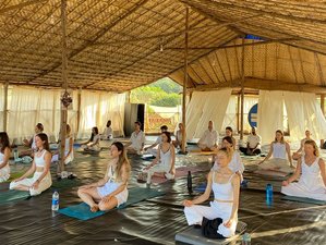 21 Day 200-Hour New Year New Life Yoga, Ayurveda and Healing Yoga Teacher Training in Goa, India