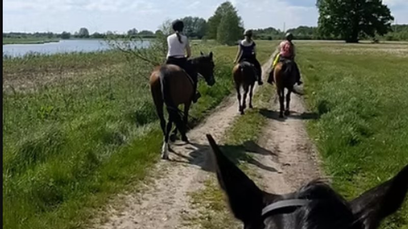 4 Tage Zentrum-basierter Reiturlaub im Wilden Bug-Flusstal, Polen