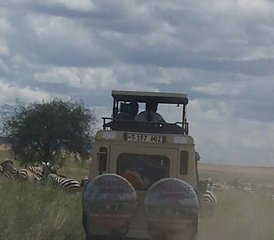 510 días de increíble safari en grupo en Tanzania - Photo 1