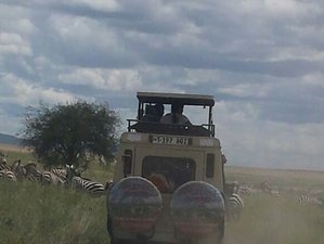 10 Day Amazing Tanzania Group Joining Safari