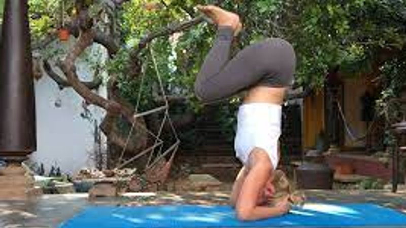 7 Day Meditation, Pranayama, and Yoga Retreat in Auroville