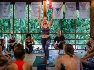 21 Tage 300-Stunden Mentorschaft für Bewusste Ausrichtung Yogalehrer Ausbildung in Los Pargos, Guanacaste