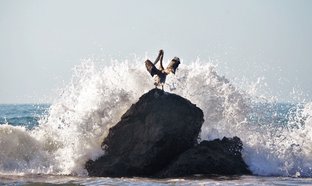 Jaco Beach Retreats & Trips