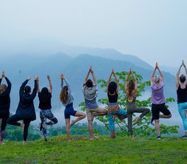 824-daagse (200 uur) hoogwaardige yogadocentenopleiding in diverse stijlen in Rishikesh, India - Photo 1
