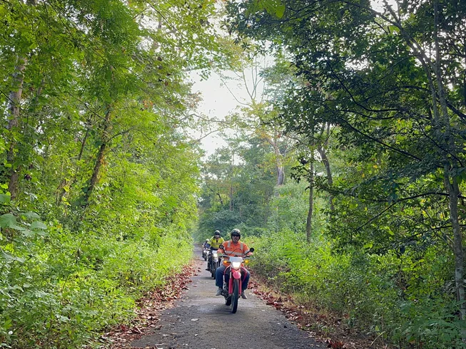 4 Day Guided Motorbike Riding from Ho Chi Minh to Dalat, Vietnam photo 3