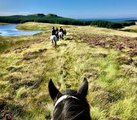 5 Day The Haven Short Break Horse Riding Holiday for All Levels in Campbeltown, Scotland, UK - Photo 2