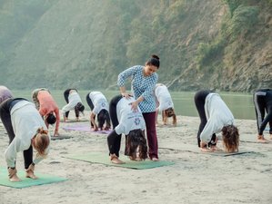 25 jours-200h en formation de professeur de yoga ashtanga, vinyasa et hatha avec sonothérapie à Rishikesh, Inde