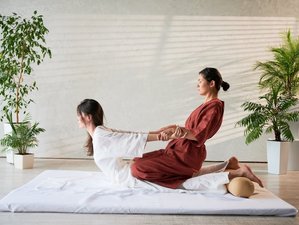 Self-Paced Online 5-Hour Partner Thai Yoga Workshop 