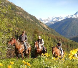 7 Day Sheep Tracking and Conservation Horse Riding Tour in Canada - Photo 3