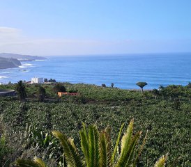 6 Tage Women in Balance: Premium Yoga & Achtsamkeits-Retreat für Frauen auf Teneriffa, Spanien - Photo 2