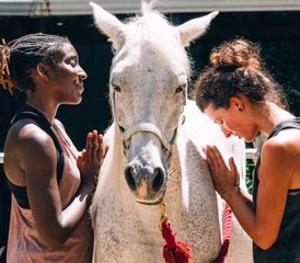 8-Daagse Spirituele Reis met Paarden en Yoga Retreat in Puerto Viejo, Costa Rica - Photo 4