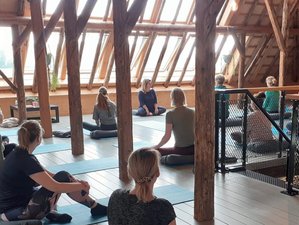 3-Daagse Recharge Yoga Retreat op een Geheim Eiland in Noord-Holland