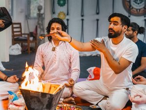 28 Dag 200-uur Yogadocentenopleiding in Rishikesh, India, inclusief Reiki-certificering en Meer