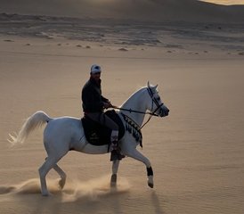 8 Day Sands and Saddles: Horses and Yoga Retreat Tour in Egypt - Photo 4
