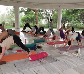 21 Tage 200-Stunden Yogalehrer Ausbildung mit Naturheilkunde und Emotionalem Ausgleich in Rishikesh, Indien - Photo 2