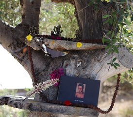 8 días de retiro de luz, amor y yoga en Creta, Grecia con meditación y atención plena - Photo 4