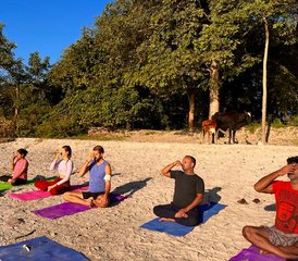 8-Daagse Yoga en Meditatie Retraite in Rishikesh nabij de Ganges, India - Photo 4