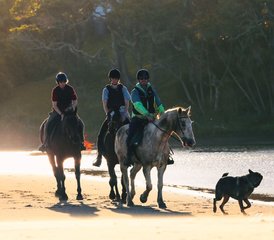 3 Day Horse Riding Holiday with Tom and Tori Horse and Heart in the Wild Coast, South Africa - Photo 5