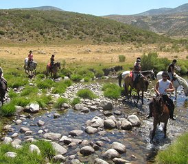 7 Day Crystalline Waters of Gredos Horse Riding Tour in Spain - Photo 5