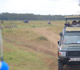 9 jours de safari au Kenya et en Tanzanie - Photo 4