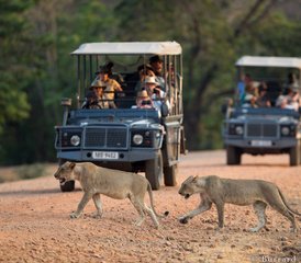 107 Dag Safari Waarbij u South Luangwa en de Victoriawatervallen in Zambia verkent - Photo 1