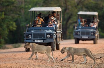 7 Day Safari Exploring South Luangwa and Victoria Falls, Zambia
