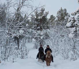74 Tage Winter-Reiturlaub in Kiruna, Schweden - Photo 1