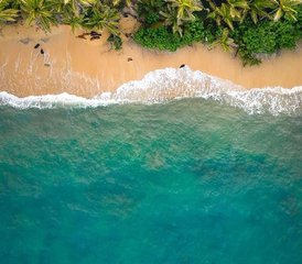 4-Daagse Surfkamp in Tayrona, Magdalena, Colombia - Photo 2