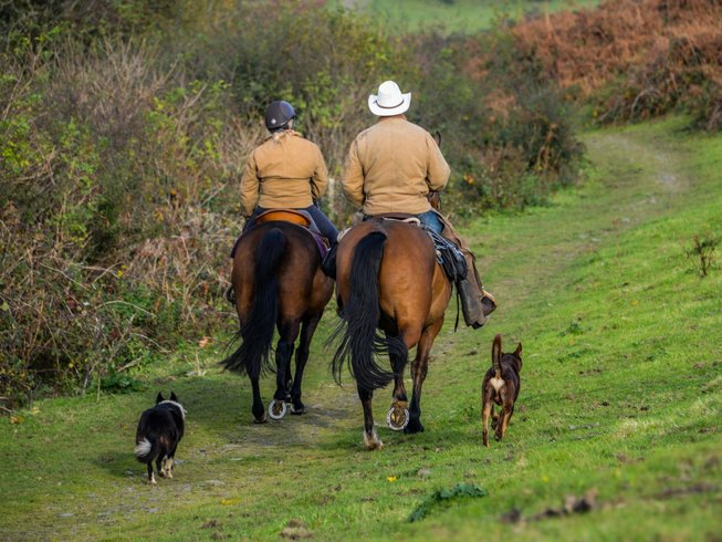 Horses Riding Devon 4 Day Exciting Dartmoor Trails Horse Riding Holiday in Devon, England ...