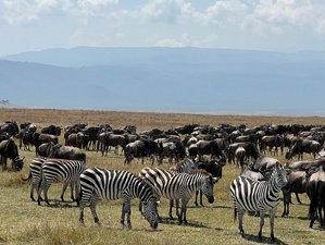 4 Day Comfortable Mid-Range Safari in Tanzania