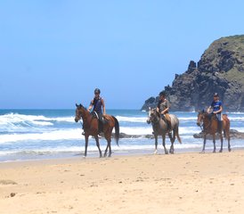 29 Day Working Riding Holiday; Live Like a Local, Connect with Horses on the Wild Coast South Africa - Photo 2