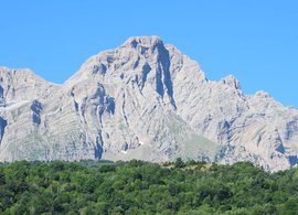 Vio Retreats & Trips