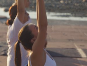 61 Day 500-Hour Yoga Teacher Training in Rishikesh, India