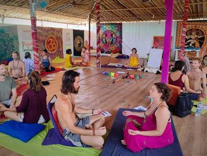 6 Day Kambo and Sacred Wood Retreat in Beauiful Goa, India