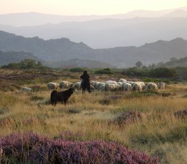 8 jours en stage de randonnée et yoga au parc national de Peneda-Gerês, Portugal - Photo 3