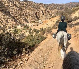 8 jours en stage d’équitation à Paradise Valley, montagnes du Haut Atlas et plages, Maroc - Photo 5