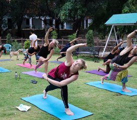 11 jours-100h de formation de professeur de yoga hatha et ashtanga vinyasa à Rishikesh, Inde - Photo 3