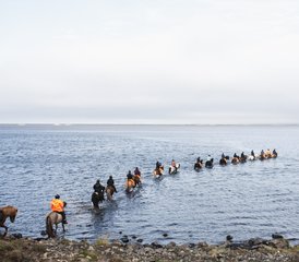 5 Day Trail of Hope (Summer) Horseback Riding Holiday in Vatnsdalur, Iceland - Photo 2