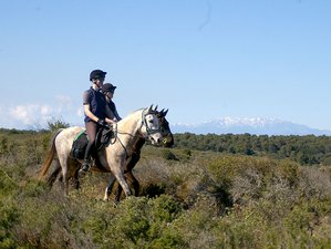 4 Day Discovering the Ampurdan and the Costa Brava Horse Riding Holiday in Catalonia