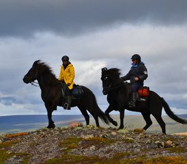37-Tägige Ratekjokk Trail Reittour in Schweden - Photo 1