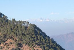 3-Daagse Yogaretreat in de Bergen van Uttarakhand India