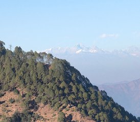 103 jours en retraite de yoga dans les montagnes de l'Uttarakhand, Inde - Photo 1