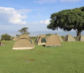 4-Daagse Smaak van Tanzania Budget Safari in Tarangire Serengeti en de Ngorongoro Krater - Photo 5