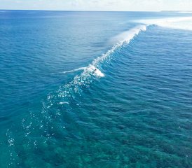 9 días de estancia y surf en olas poco concurridas para surfistas avanzados en Thimarafushi, Maldivas - Photo 3