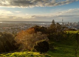 Auckland Retreats & Trips