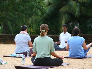 12 Day Wellness Retreat at the Thaulle Resort, Tissamaharama, Southern Province